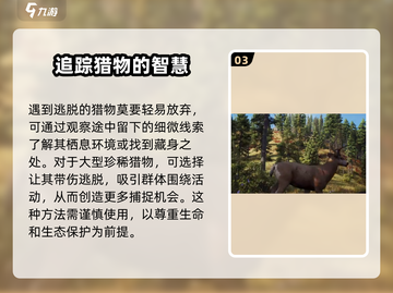 猎人之路🔥新手必看！超全入门指南⚡截图4