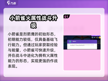 宝可梦大集结：小箭雀进化秘籍🔥快速升级不是梦！截图2
