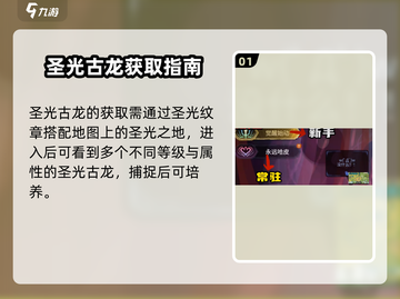 《超进化物语2神光古龙爆肝攻略✨》截图2