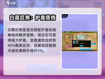 万龙觉醒🔥精灵宠物大揭秘！💡截图4