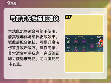 魔力宝贝复兴版弓箭手宠物搭配🔥带你飞天遁地！截图4