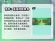上古河图🔥青帝句芒玩法大揭秘！必看👇截图5