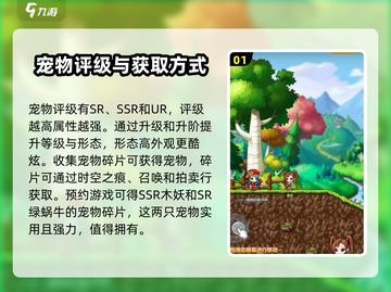 冒险岛联盟的意志🔥宠物最强搭配方案✨截图2