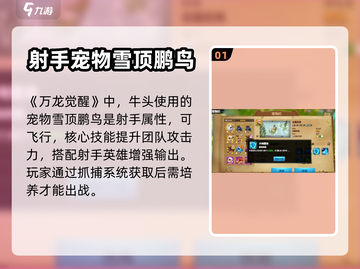 万龙觉醒🔥牛头宠物最佳搭配揭秘！💡截图2