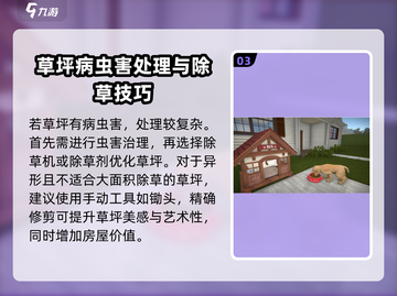 房产达人游戏技巧大曝光！🔥除草方法轻松get，游戏高手必看！截图4