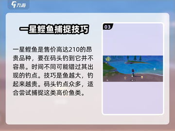 心动小镇💰最贵珍稀鱼类钓点大曝光！🐟截图4
