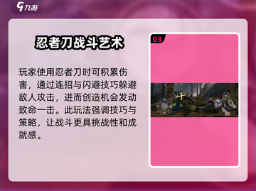 暗影格斗3🔥忍者刀特点与战斗策略大揭秘！截图4