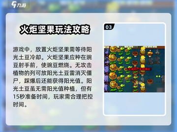 植物大战僵尸：火炬坚果🔥超神属性曝光！截图4