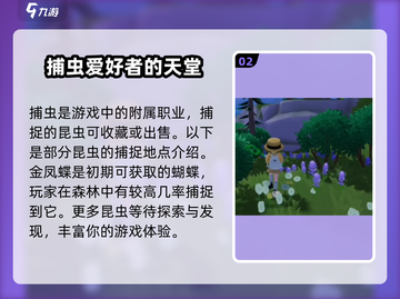 心动小镇🔥捕虫网获取攻略💡玩家必看！截图3