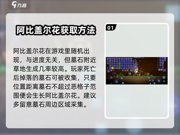 泰拉瑞亚😎阿比盖尔的花采集方法大公开！花开的秘密在这里🪴截图2