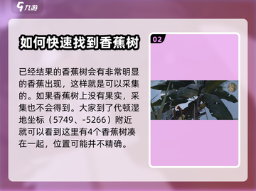 七日世界香蕉位置大揭秘🍌玩转游戏必备！截图3