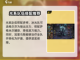 光与夜之恋✨龙息神寂最强光队搭配推荐！截图2