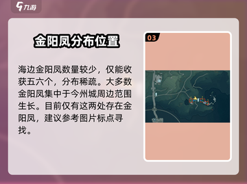 鸣潮🔥金阳凤获取方法大曝光！快人一步拿下金阳凤！截图4