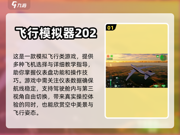 2024必玩🔥飞行模拟游戏下载推荐✈截图2