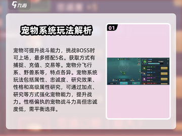 魔力宝贝复兴🔥宠物系统玩法大揭秘！💥截图2