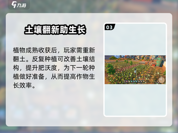 《沙石镇时光》种植系统全攻略🌿🎮截图4
