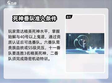 🔥境界刀鸣：护廷十三队加入条件大揭秘！截图2