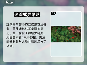 🎮大侠立志传迷踪林灵芝位置曝光！截图2