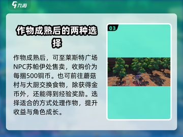 沙石镇时光💥种植玩法大揭秘！卖哪里超全攻略来了🎉截图4