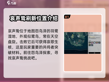 鸣潮⚡哀声鸷获取攻略📍快速找到哀声鸷的方法！截图2