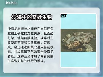 怪物猎人：荒野缠蛙⚡打法特性全解析！💥截图3