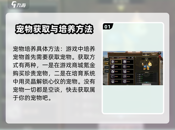 三国群英传宠物培育全解✨助你称霸战场！截图2