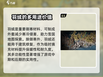 《七日世界》羽绒获取🔥超全攻略来了！截图4