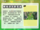 箭箭剑🔥成就全解锁！游戏党必看👇截图3