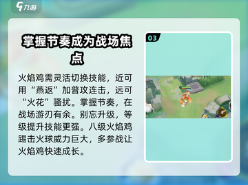 宝可梦大集结🔥火焰鸡玩法技巧全揭秘！截图4
