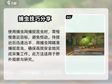无限暖暖捕虫攻略✨带你轻松游戏🔥截图4