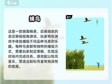 2024超🔥捕鸟手游推荐，好玩到停不下来！🎮💥截图2