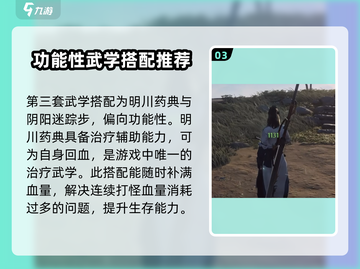 燕云十六声🔥武学搭配攻略，游戏高手必看！截图4