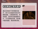 达芬奇密室2第一章🔥通关攻略来了！💡截图3