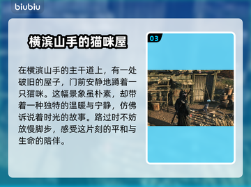 浪人崛起🔥全猫咪位置收集攻略🐱截图4