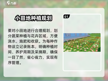 心动小镇💡快速种植技巧，效率飙升💯截图2