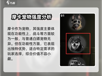 萤火突击🔥宠物摩卡强度分析来啦！还不快看？截图2