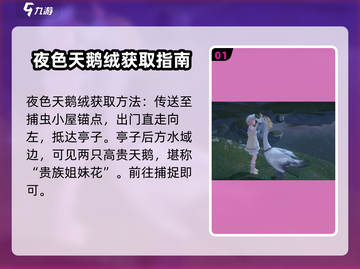 无限暖暖 NIGHT天鹅绒获取秘籍🌟截图2