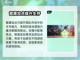 剑灵2🔥不灭者加点攻略✨手游玩家必看！截图4