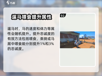 《沙石镇时光》马匹品质能升级？🔥培养攻略大揭秘！🐎✨截图3