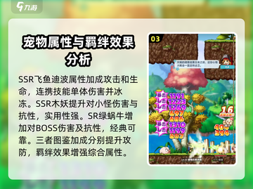 冒险岛联盟的意志🔥宠物最强搭配方案✨截图4