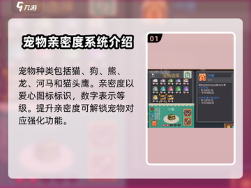 元气骑士前传🔥宠物亲密度提升秘籍🎉截图2