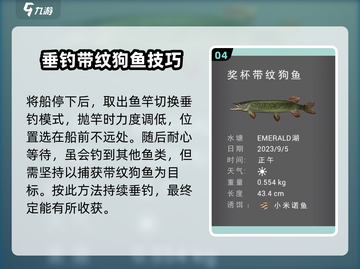钓鱼星球带纹狗鱼钓法🔥超简单技巧分享！🎣截图5