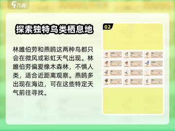 心动小镇🔥最高级鸟类大揭秘！鸽子还是孔雀？截图3