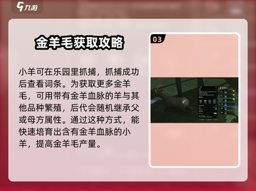 七日世界🔥金羊毛获取秘籍💎轻松到手！截图4