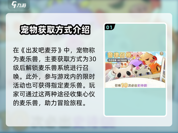 出发吧麦芬🔥奶妈宠物最强搭配💎游戏新手必看！截图2