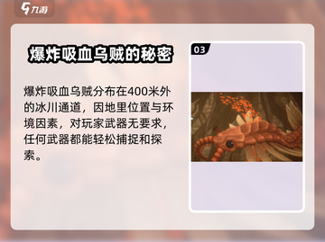潜水员戴夫乌贼位置大揭秘！玩游戏必备🔥截图4