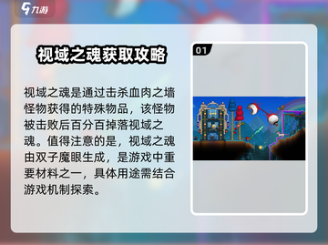 泰拉瑞亚🔥视域之魂获取秘籍，轻松搞定！截图2