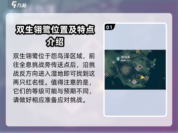 鸣潮⚡双生翎鹭打法🔥刷新时间全流程解析！截图2
