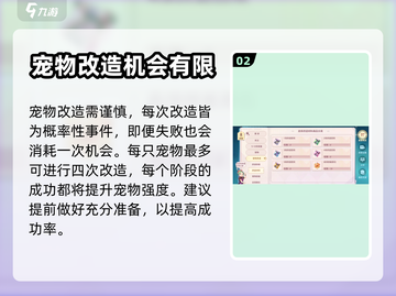 魔力宝贝旅人🔥宠物改造系统玩法大全！✨截图3