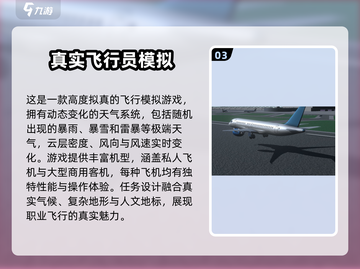 ✈2025超好玩飞行模拟器游戏合集！截图4
